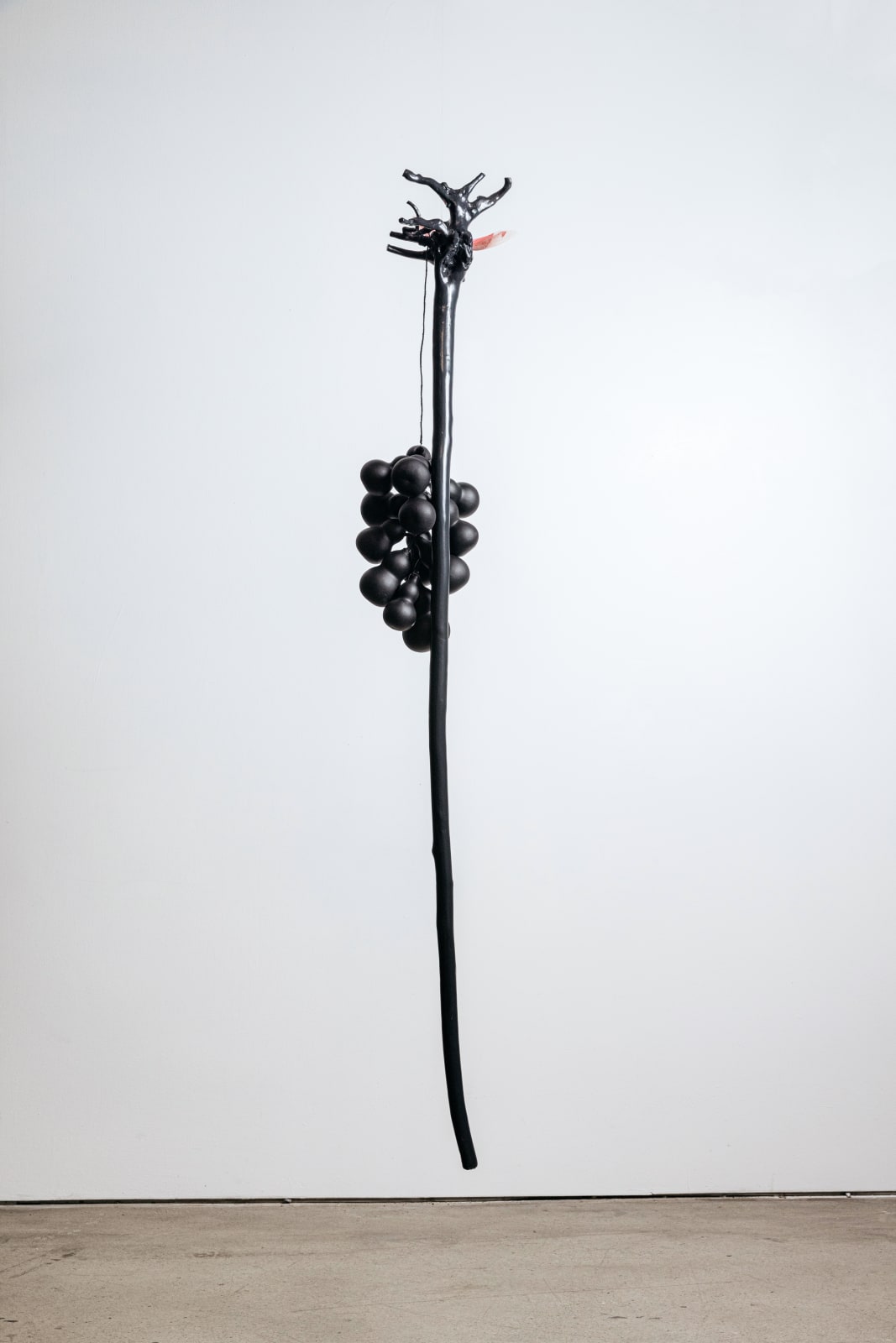 Minouk Lim, Prehension, 2022