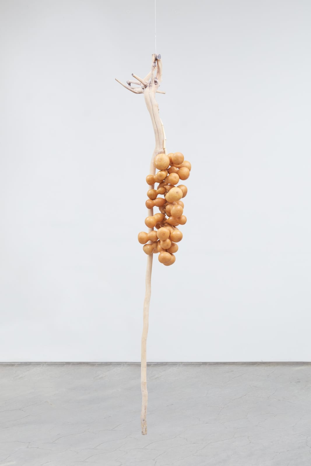 Minouk Lim, Hole in Chest Nation - Mme. Gang, 2014