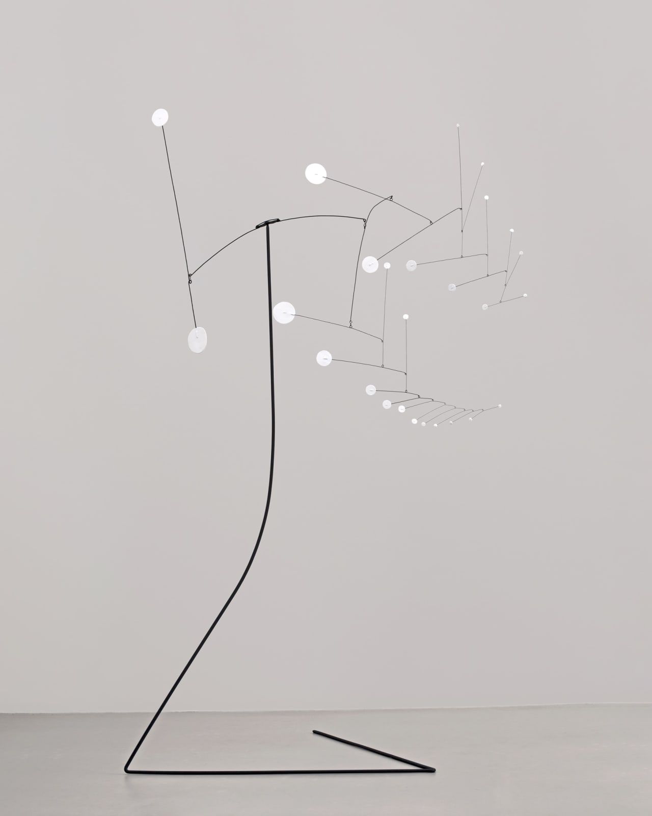 Alexander Calder, Franji Pani, 1955