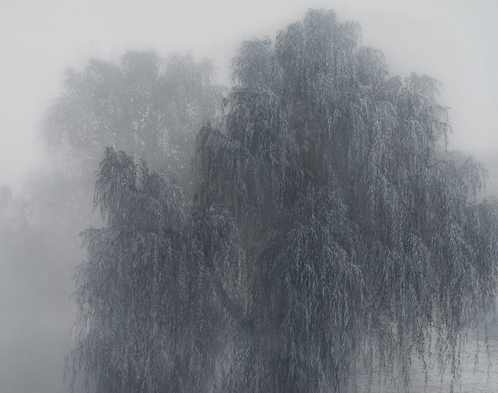 Kibong Rhee, Mistygraphy- Cut Section 2, 2024