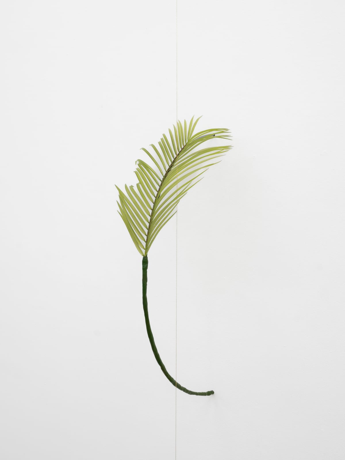 Tania Pérez Córdova, Robelina Palm (10% chance of rain), 2022