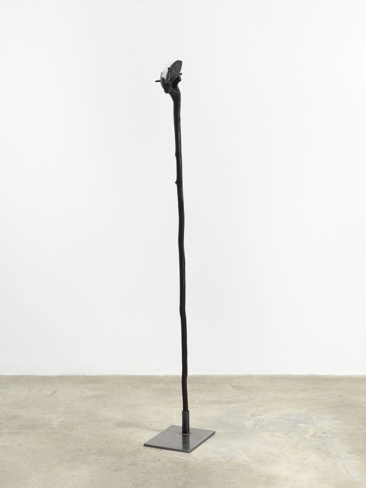 Minouk Lim, Languid Statement, 2022