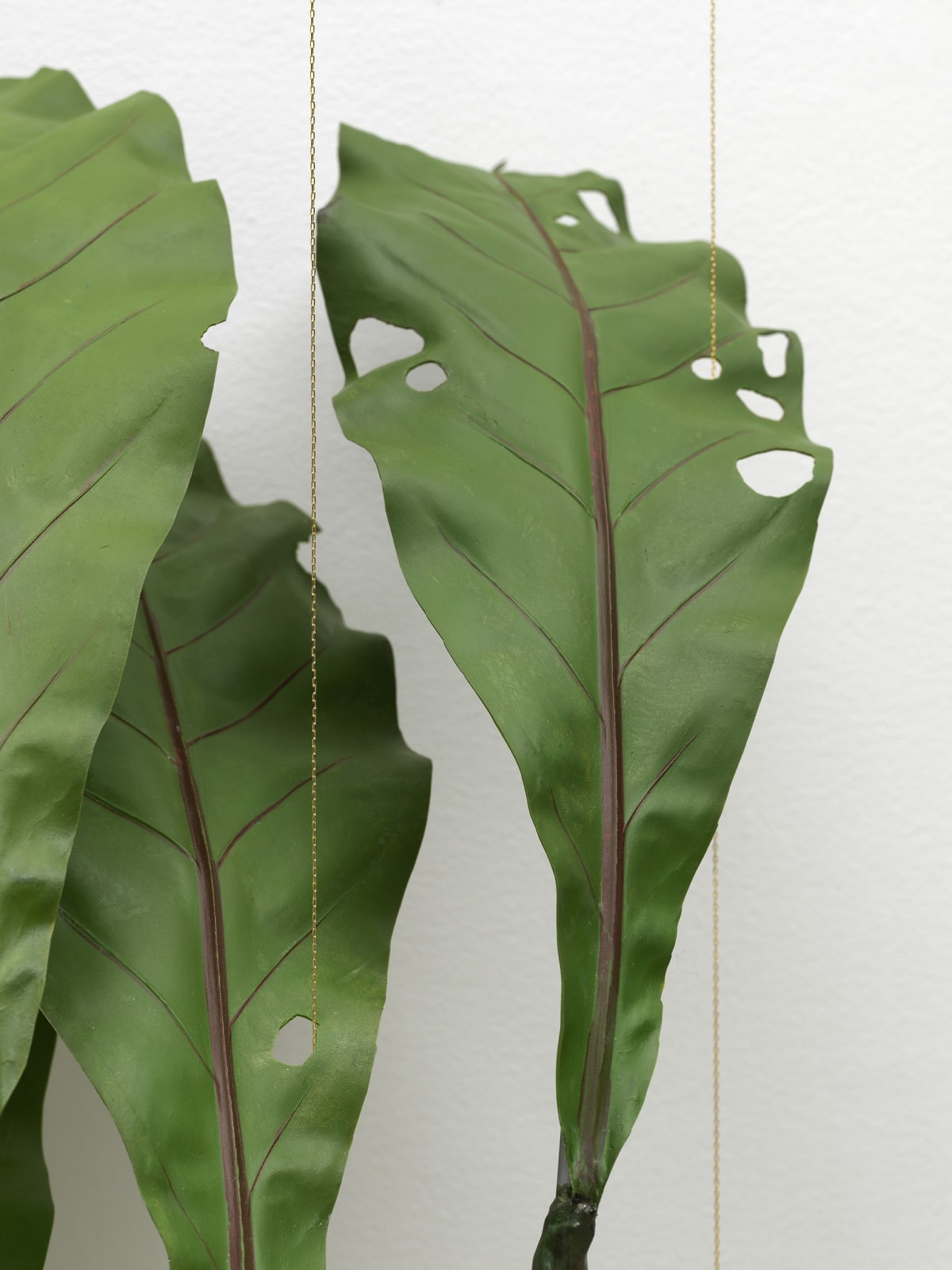 Tania Pérez Córdova, Asplenium Nidus (40% chance of rain), 2022