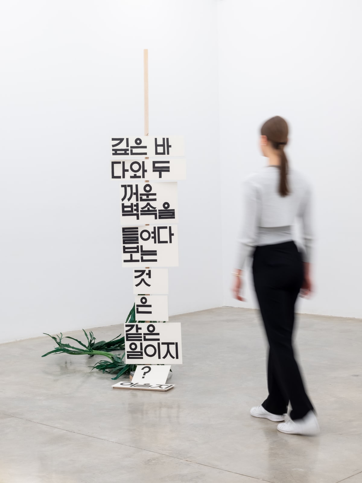 Chung Seoyoung, Deep Sea and Thick wall, 2024