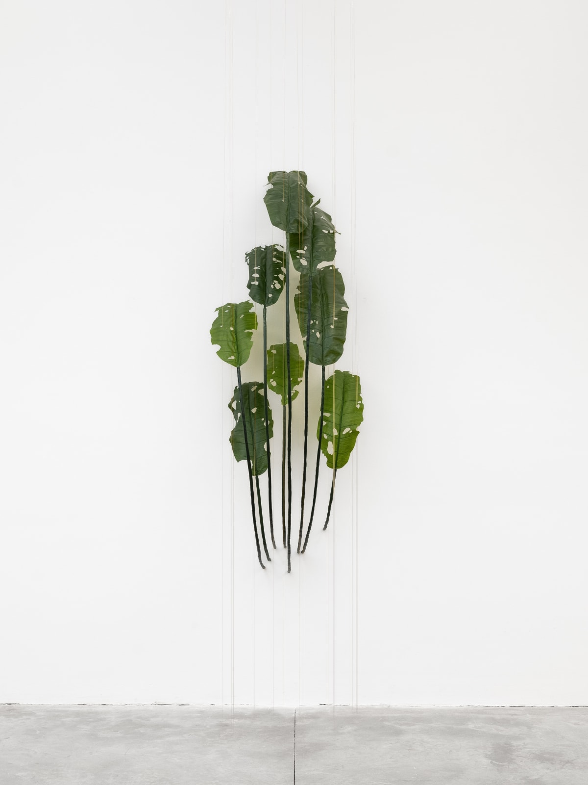 Tania Pérez Córdova, Banana (80% chance of rain), 2022