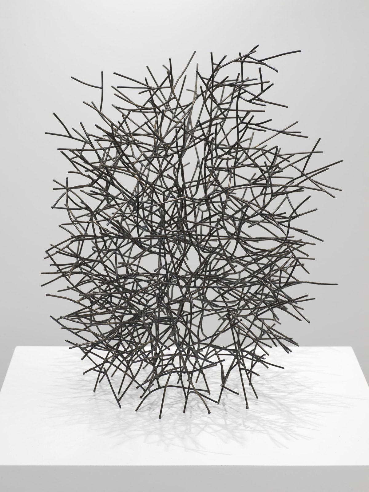 John Pai, Sylvia's Dream, 2021