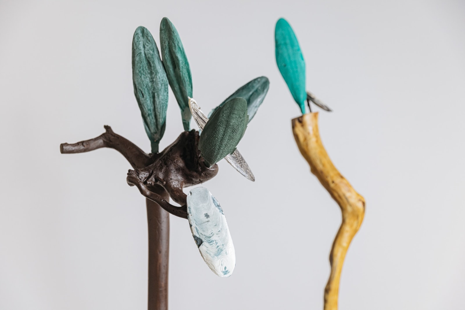 Minouk Lim, Forests SA, 2022