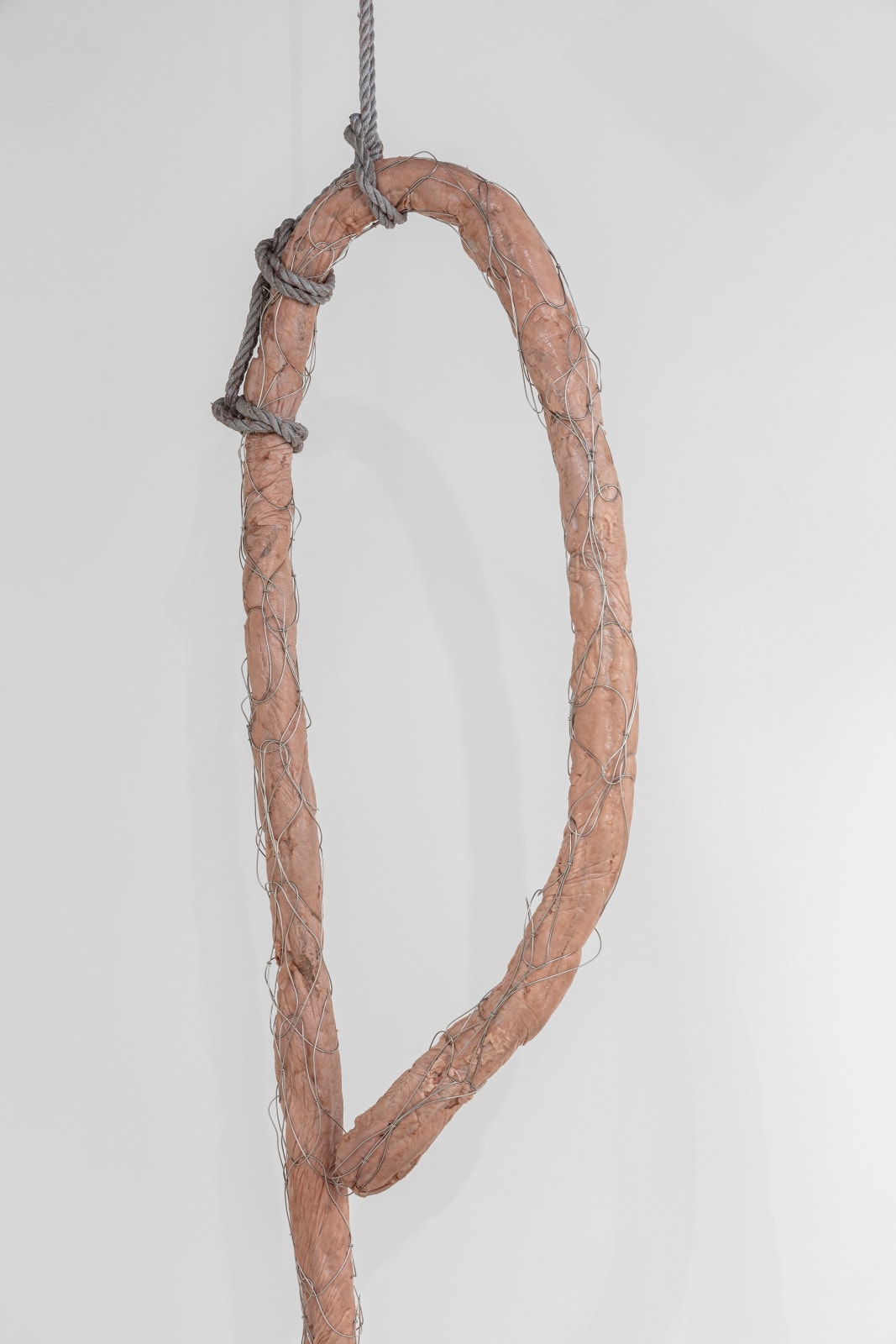Mire Lee, Tentacle from Open Wound 1, 2024