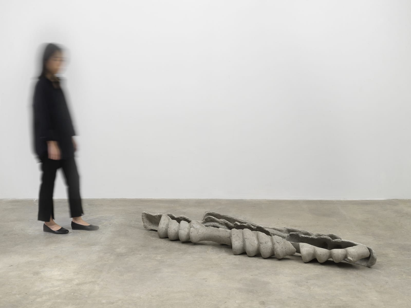 Mire Lee, Horizontal Forms; kayak ribs, 2022