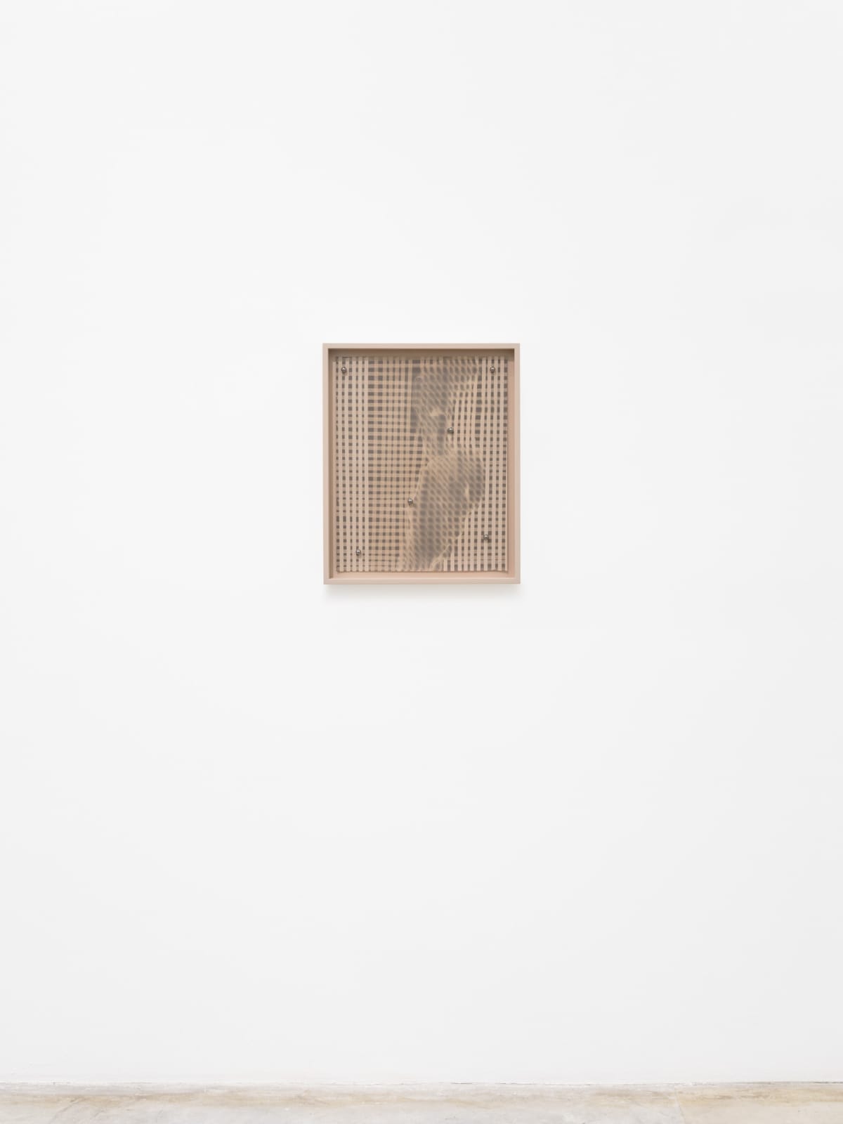 Lotus L. Kang, Mesoderm (Bloom I), 2022