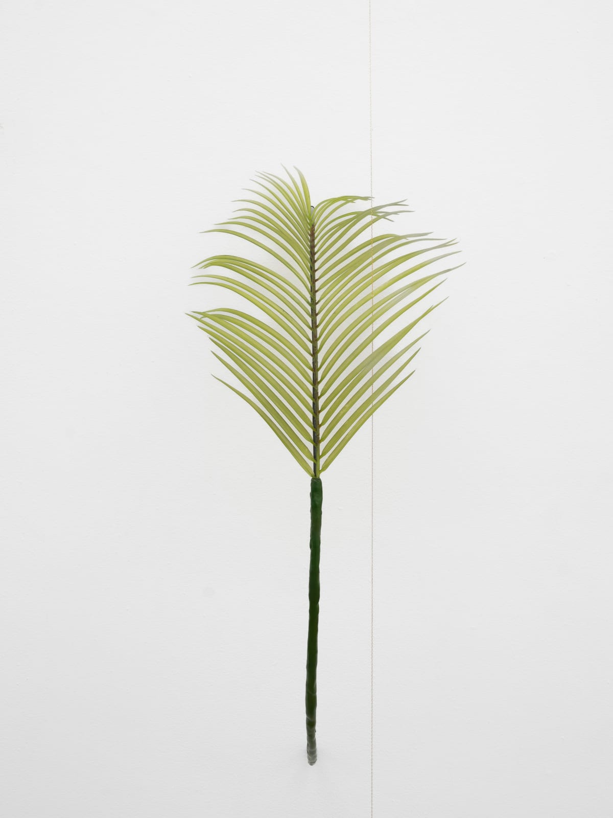 Tania Pérez Córdova, Robelina Palm (10% chance of rain), 2022