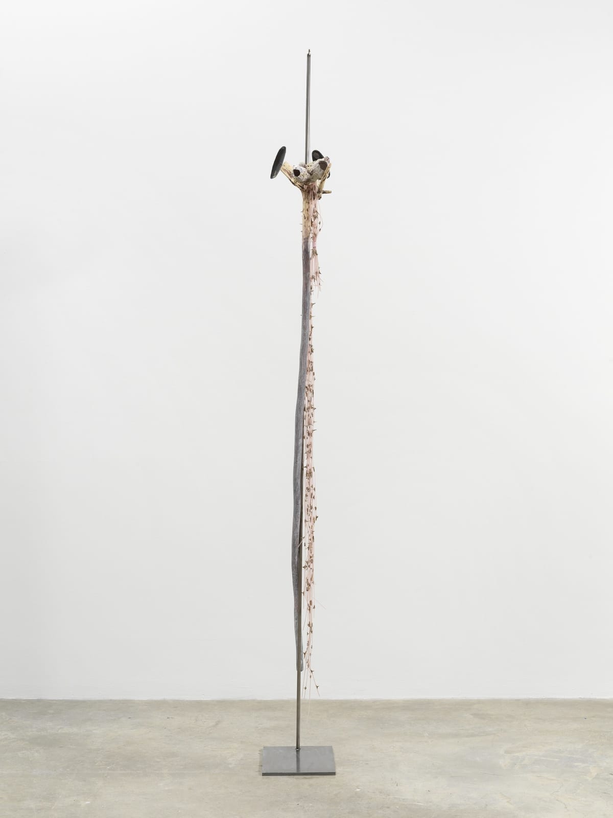 Minouk Lim, Lonesome Viewer, 2022