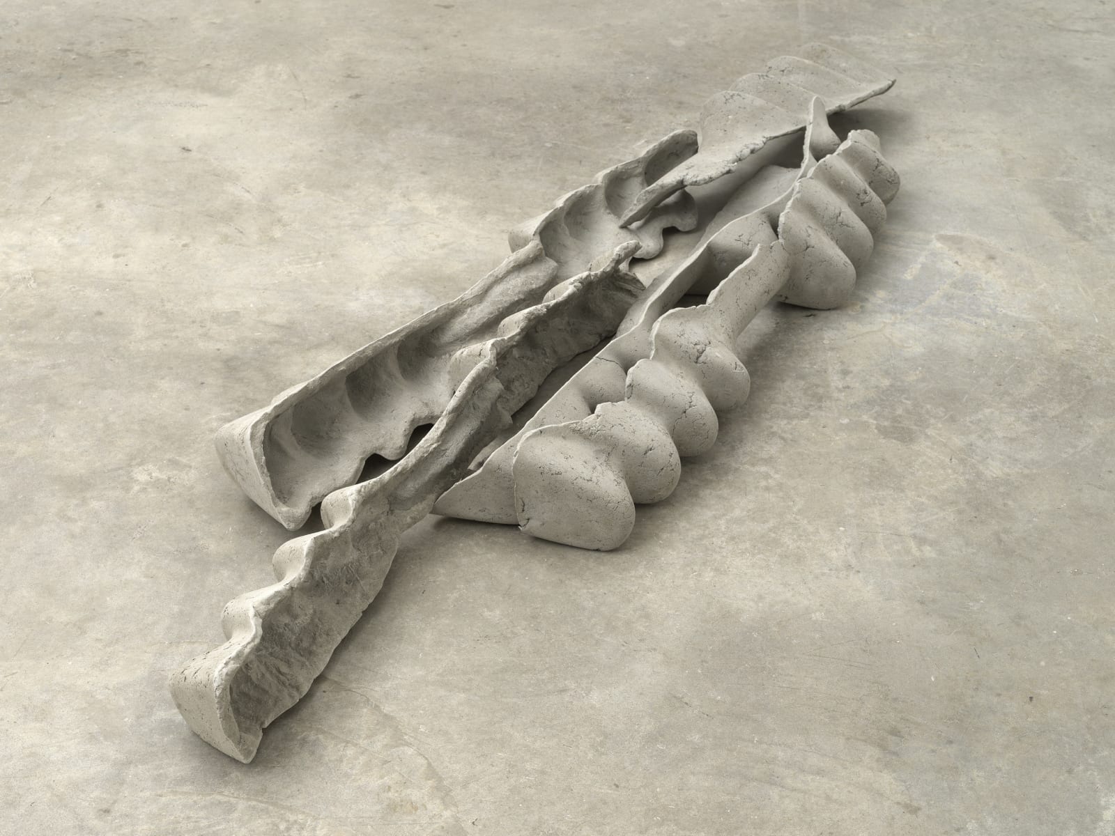 Mire Lee, Horizontal Forms; kayak ribs, 2022