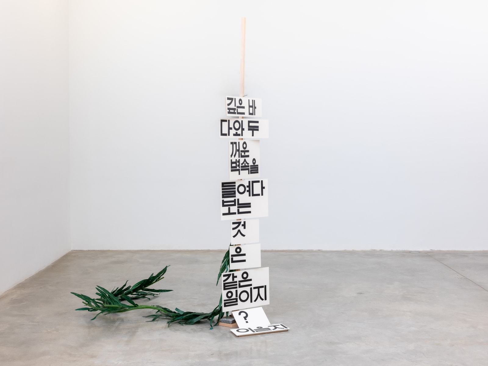 Chung Seoyoung, Deep Sea and Thick wall, 2024