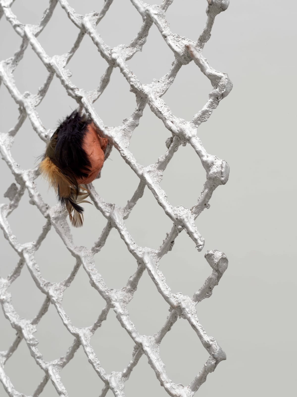 Tania Pérez Córdova, Una reja en una reja 5 / A fence into a fence 5, 2022