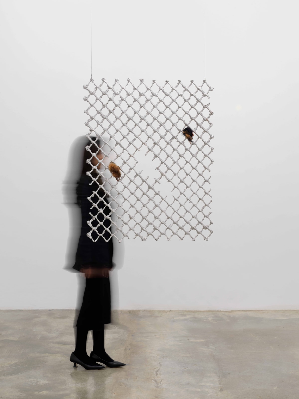 Tania Pérez Córdova, Una reja en una reja 5 / A fence into a fence 5, 2022
