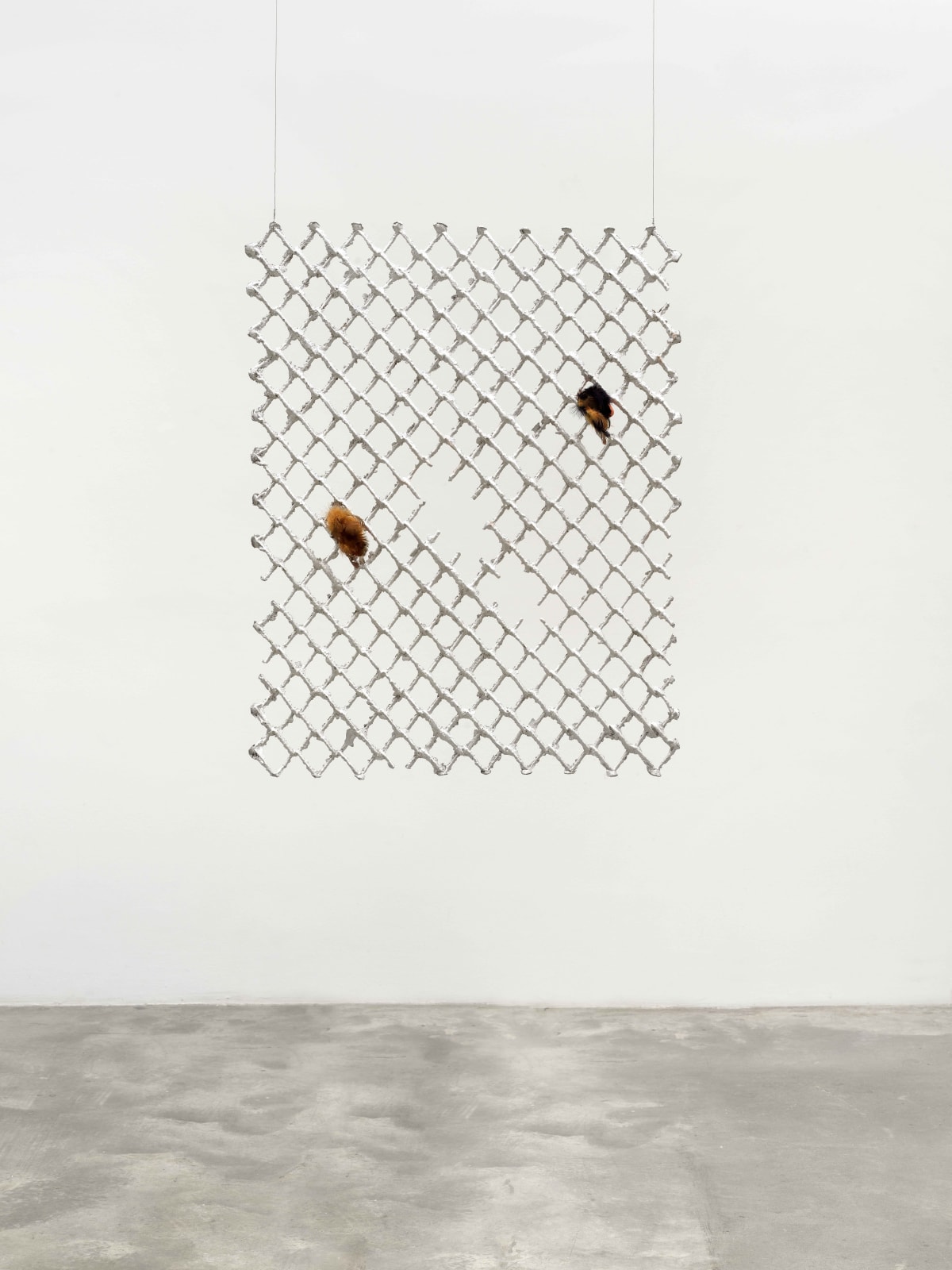 Tania Pérez Córdova, Una reja en una reja 5 / A fence into a fence 5, 2022