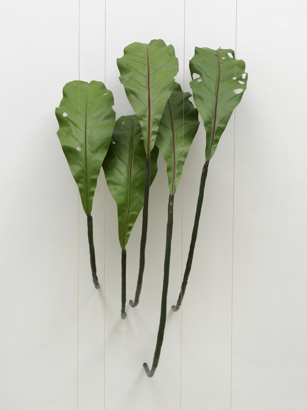 Tania Pérez Córdova, Asplenium Nidus (40% chance of rain), 2022
