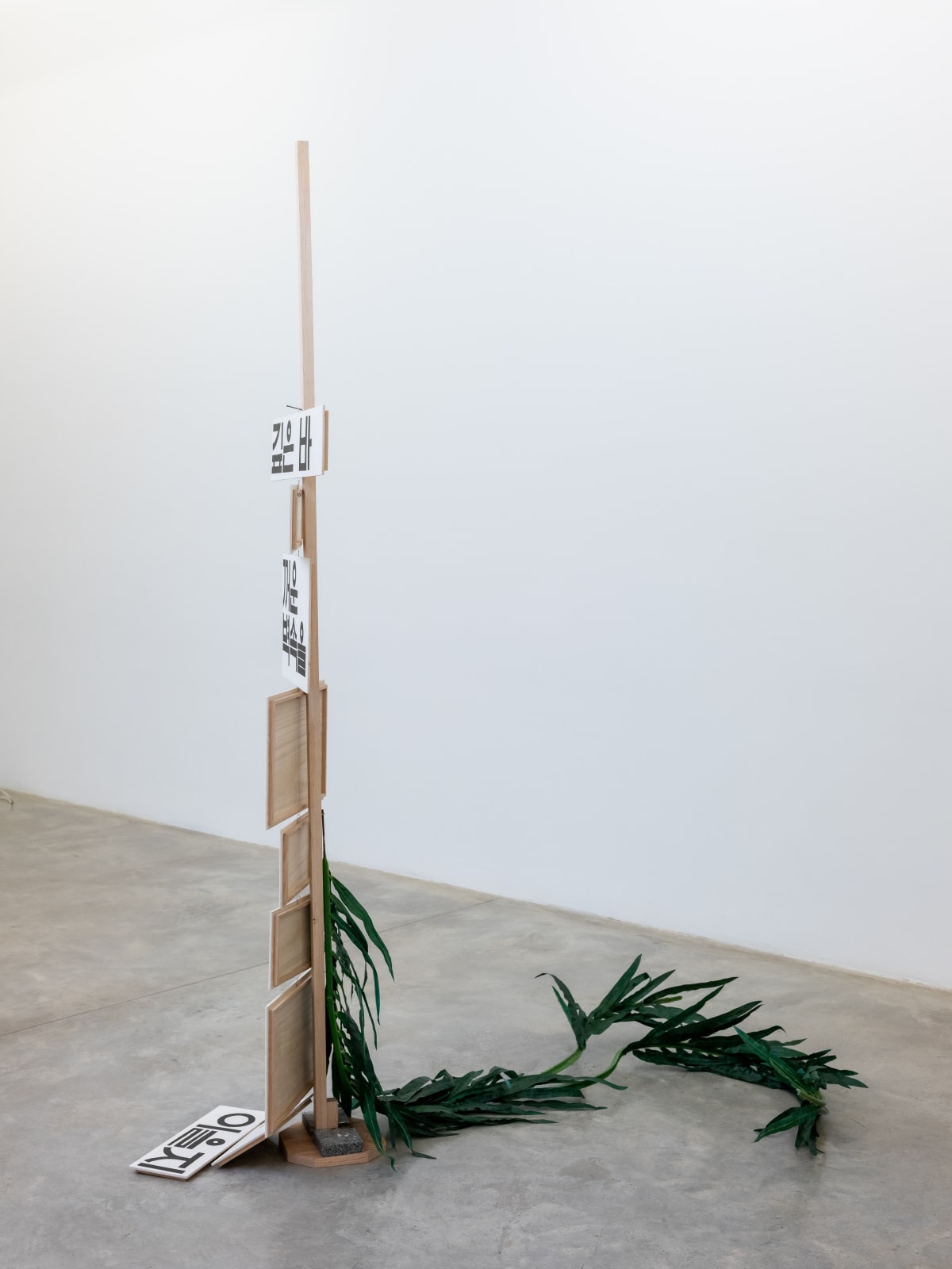 Chung Seoyoung, Deep Sea and Thick wall, 2024