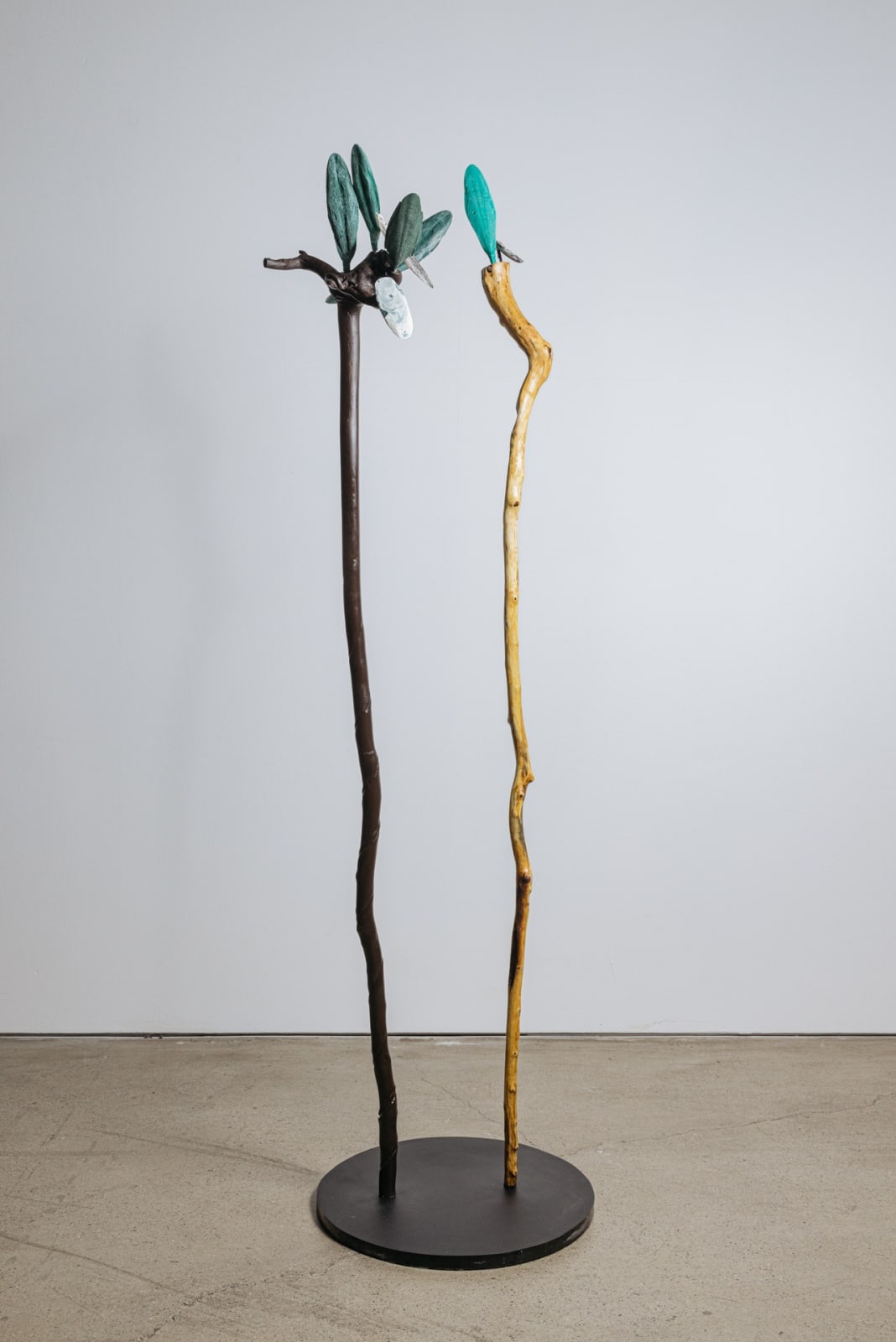 Minouk Lim, Forests SA, 2022