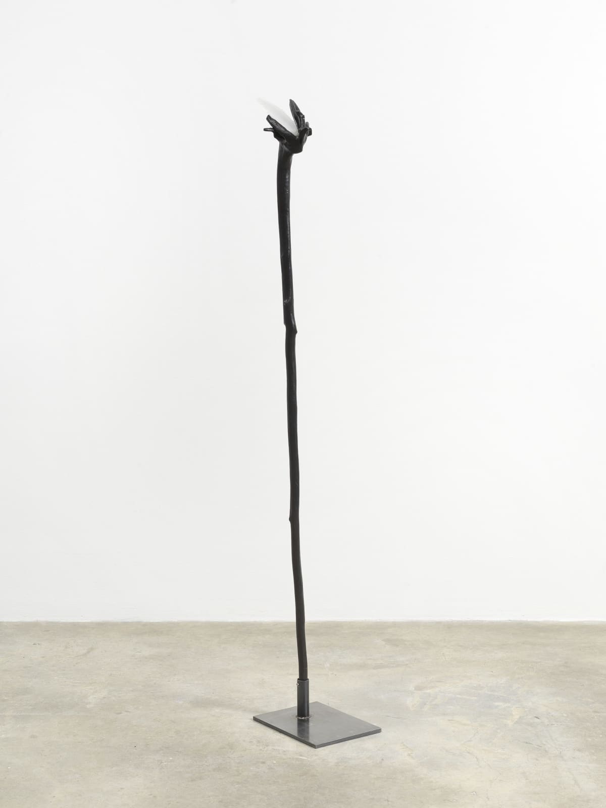 Minouk Lim, Languid Statement, 2022