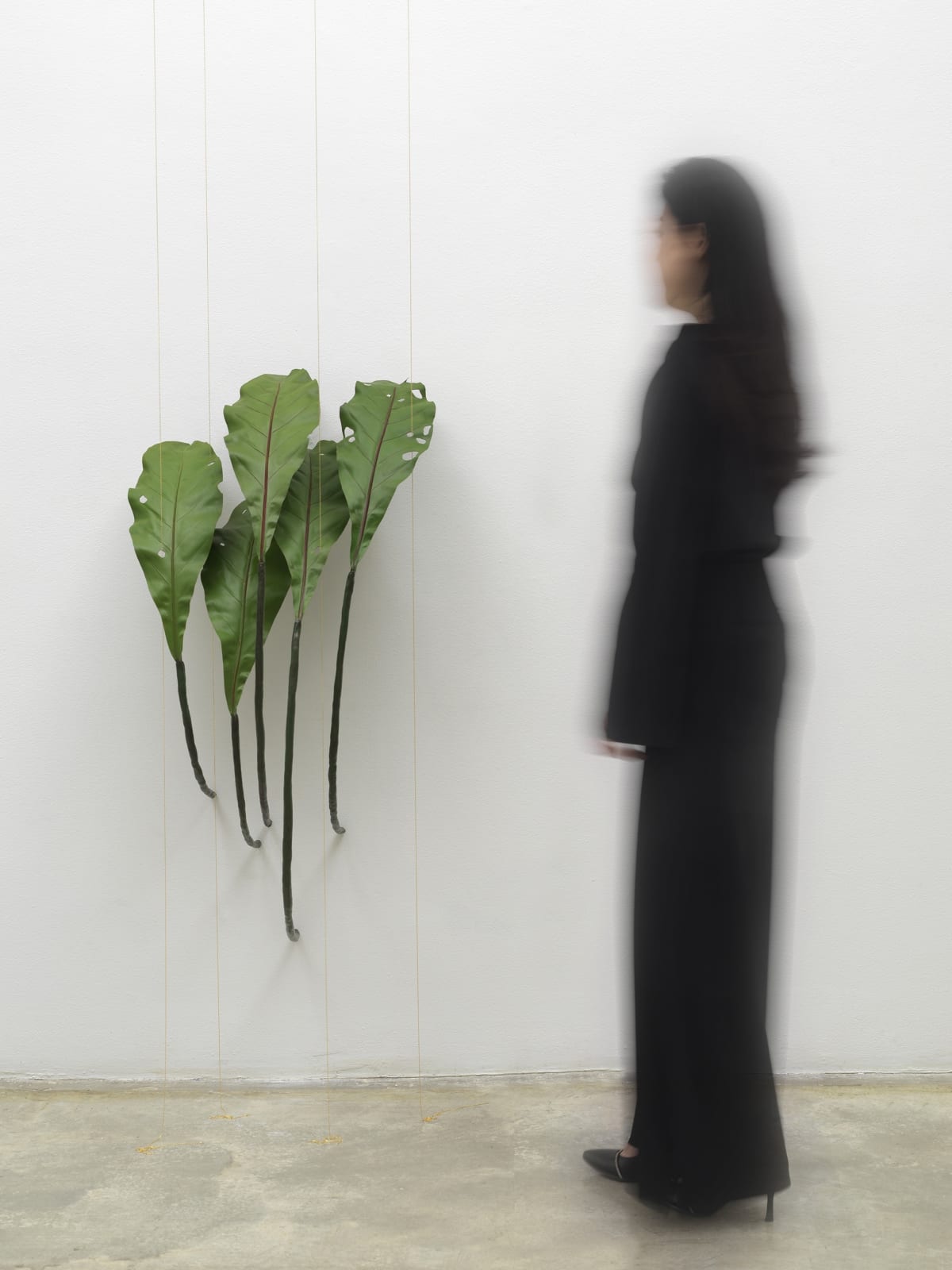 Tania Pérez Córdova, Asplenium Nidus (40% chance of rain), 2022