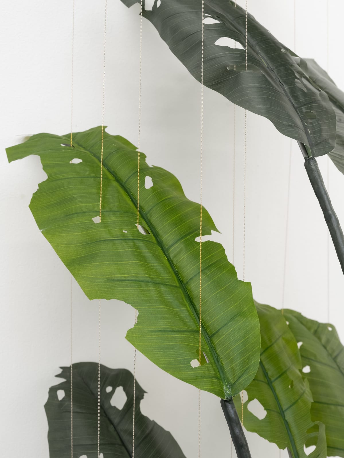 Tania Pérez Córdova, Banana (80% chance of rain), 2022