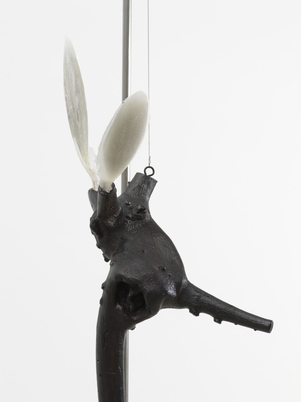 Minouk Lim, Mother Tongue, 2022
