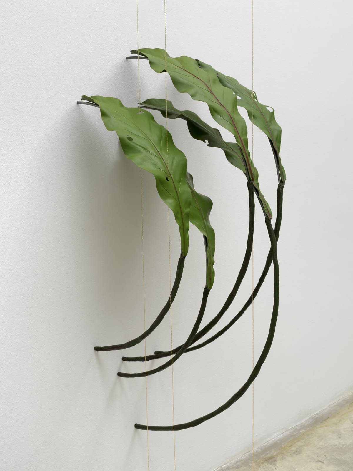 Tania Pérez Córdova, Asplenium Nidus (40% chance of rain), 2022