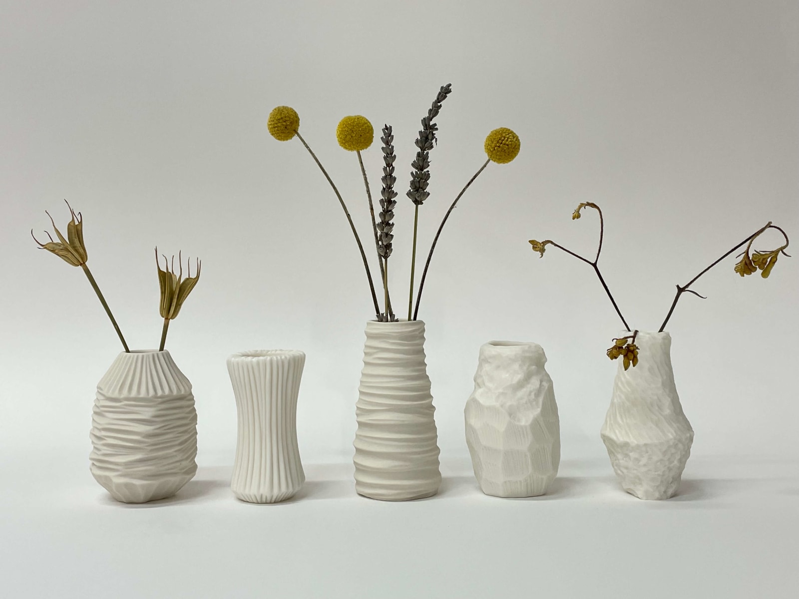 Vezzini & Chen, Natural Patterns, 2021