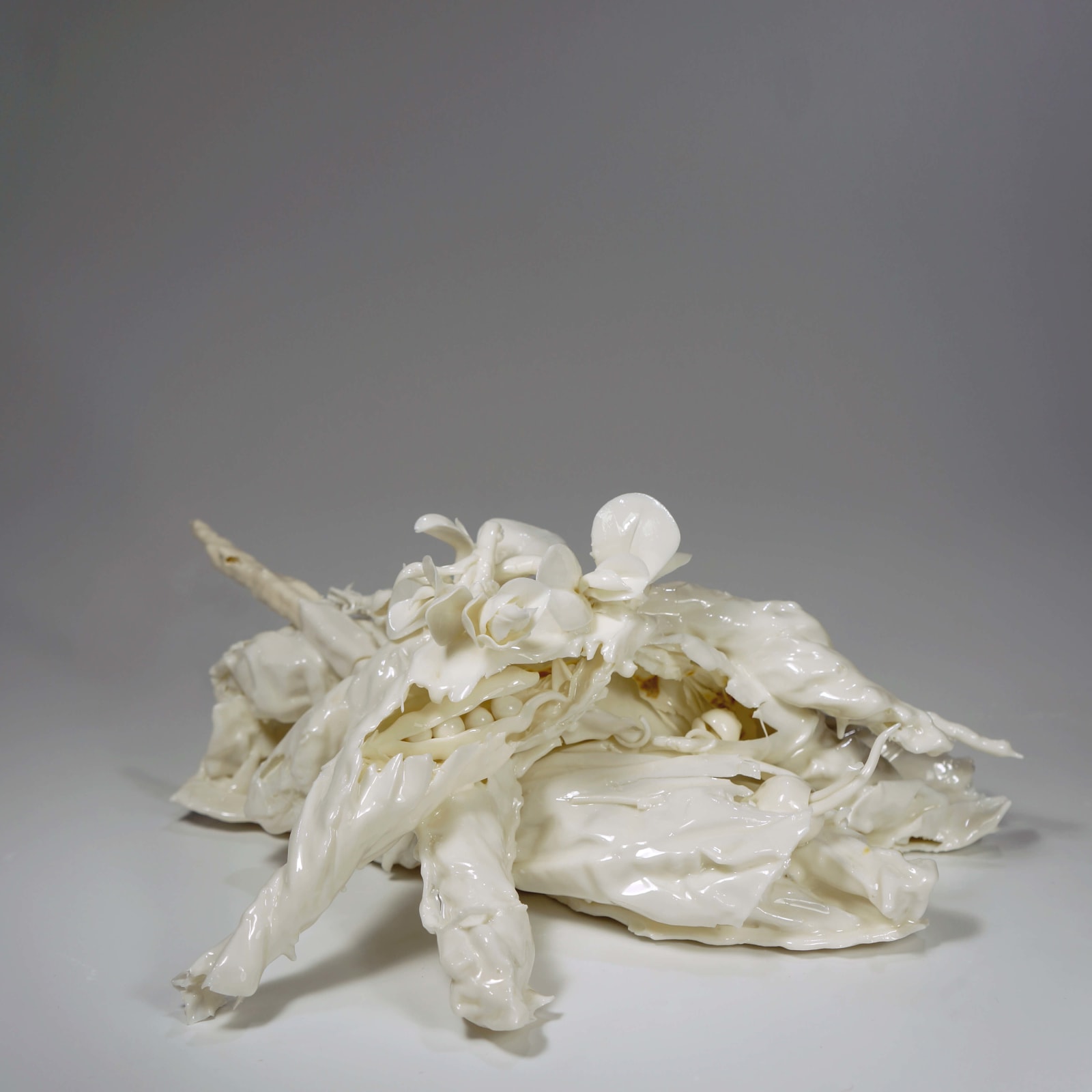 Lucille Lewin, Secret Life of a Pea No.1, 2019