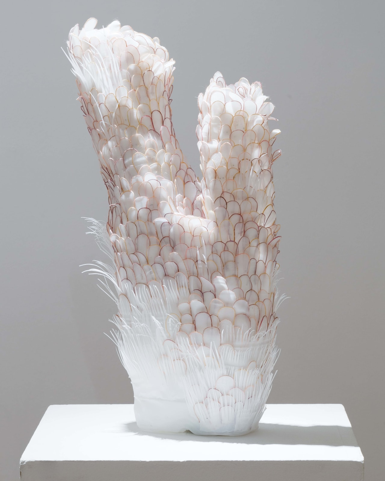 Helen O’Shea, Bi-Valve, 2019