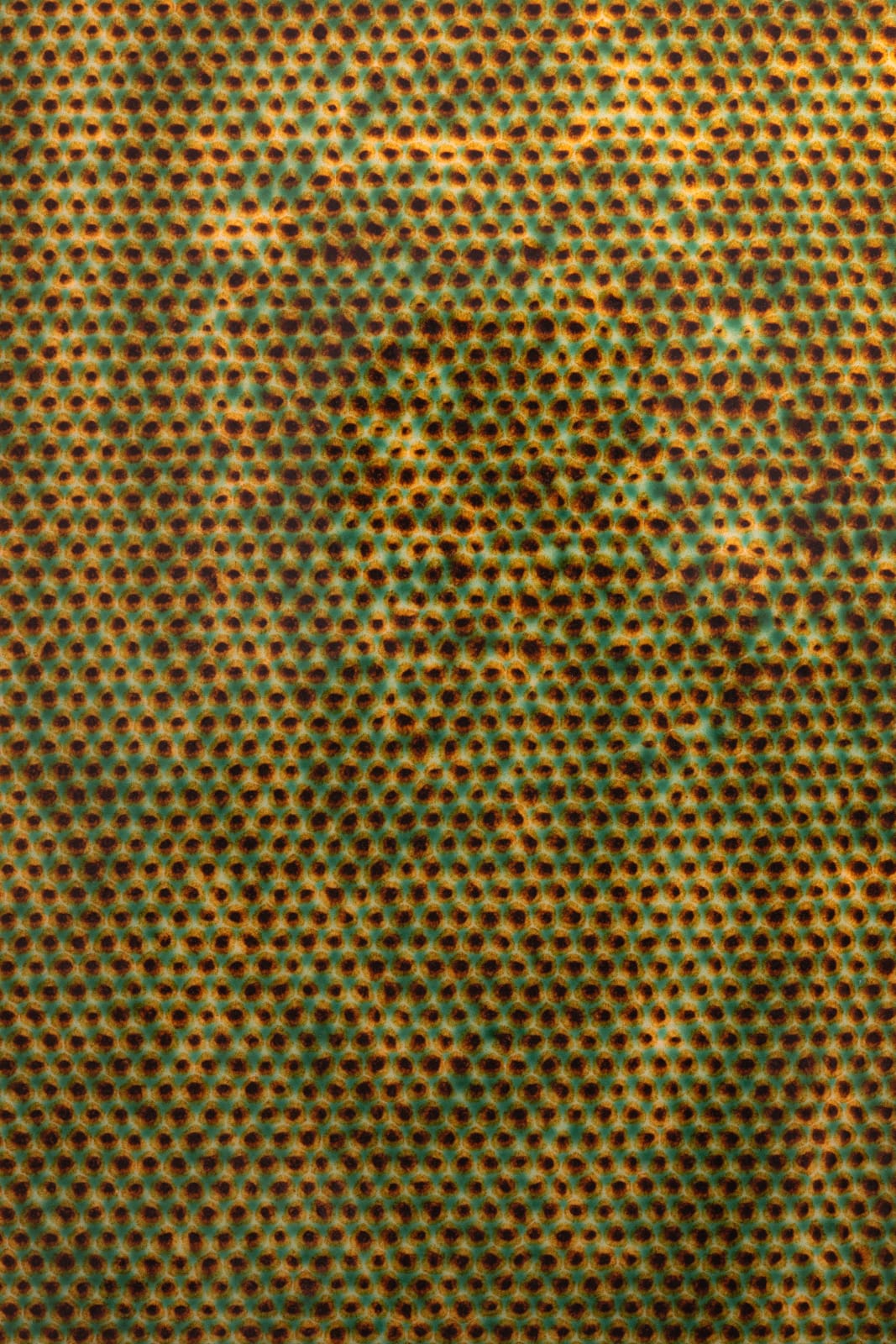 Tong Xindi, Moire Vision No.2, 2021