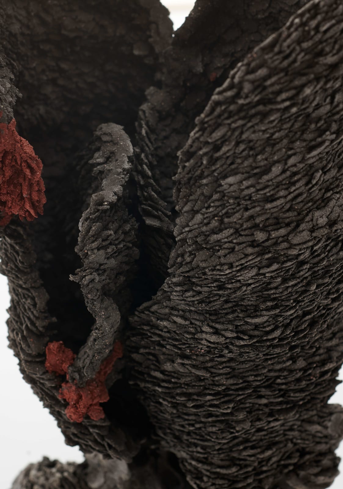 Katalina Caliendo, Fluorescence of Imbricating, 2021