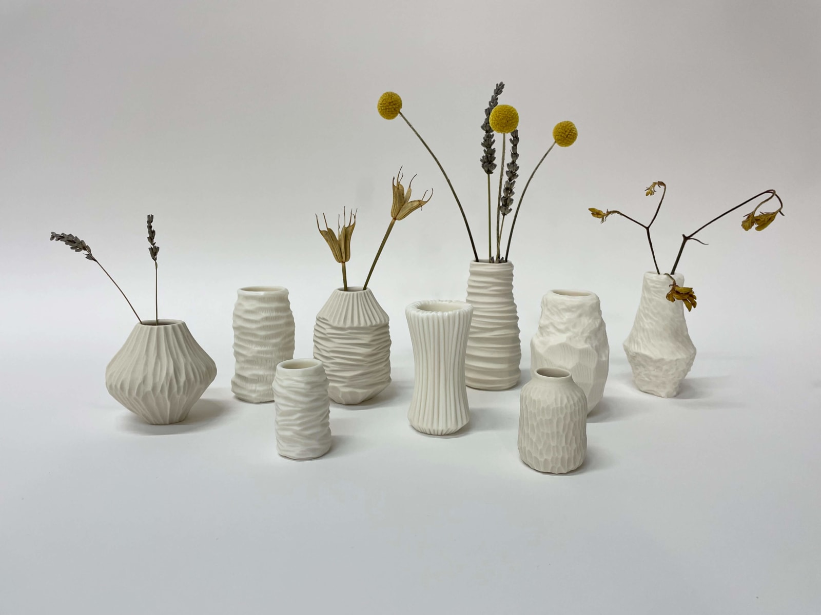 Vezzini & Chen, Natural Patterns, 2021