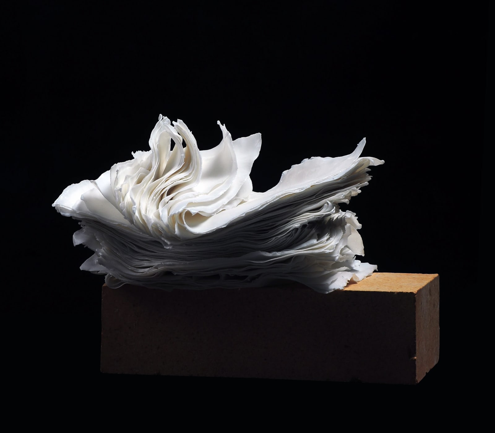 Su Xianzhong, Paper Small No.1, 2017