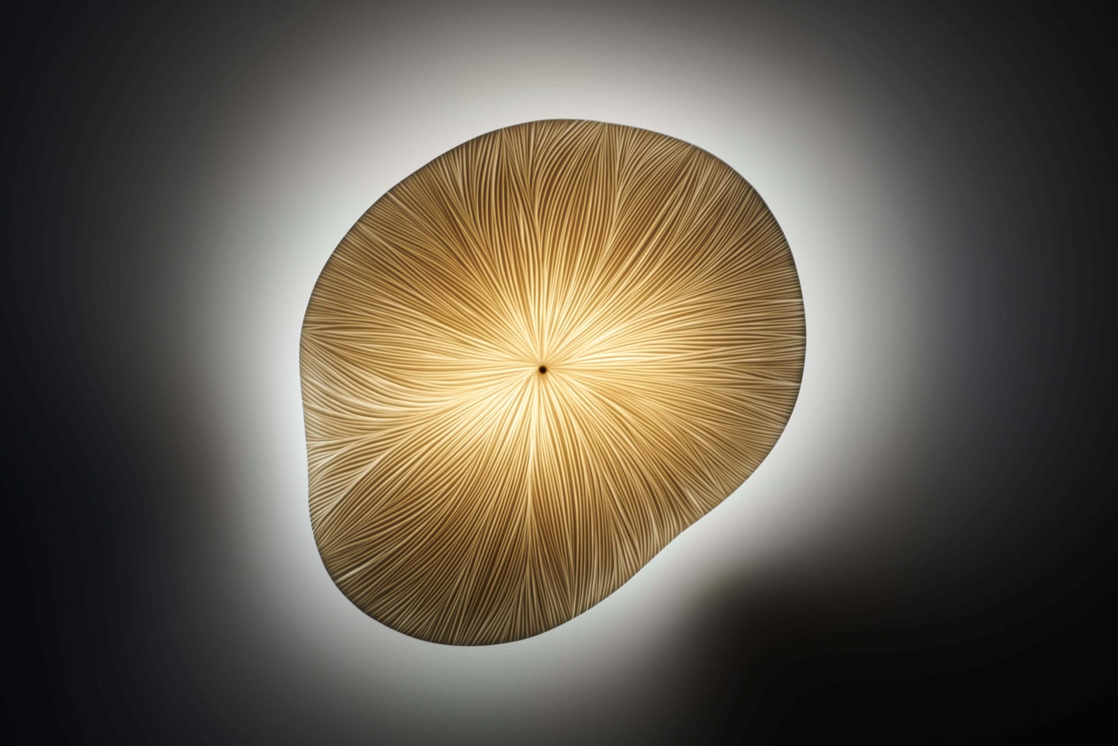 Vezzini & Chen, Leaf No.2, 2021