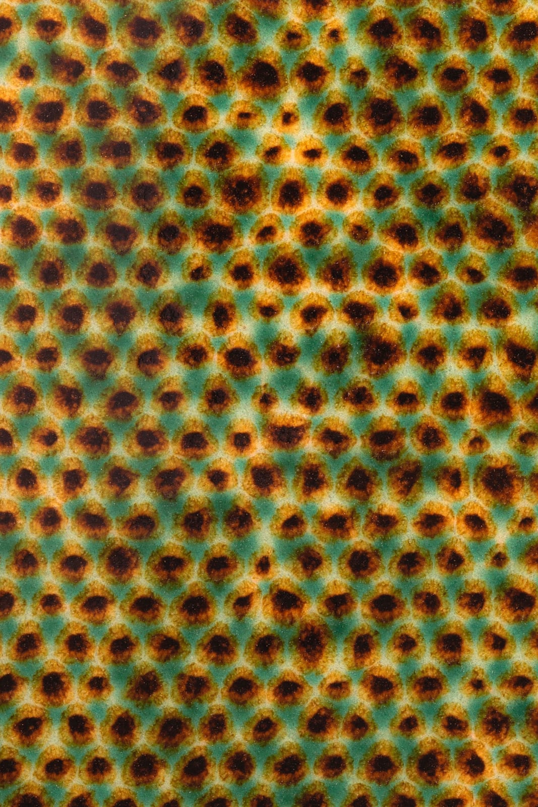 Tong Xindi, Moire Vision No.2, 2021