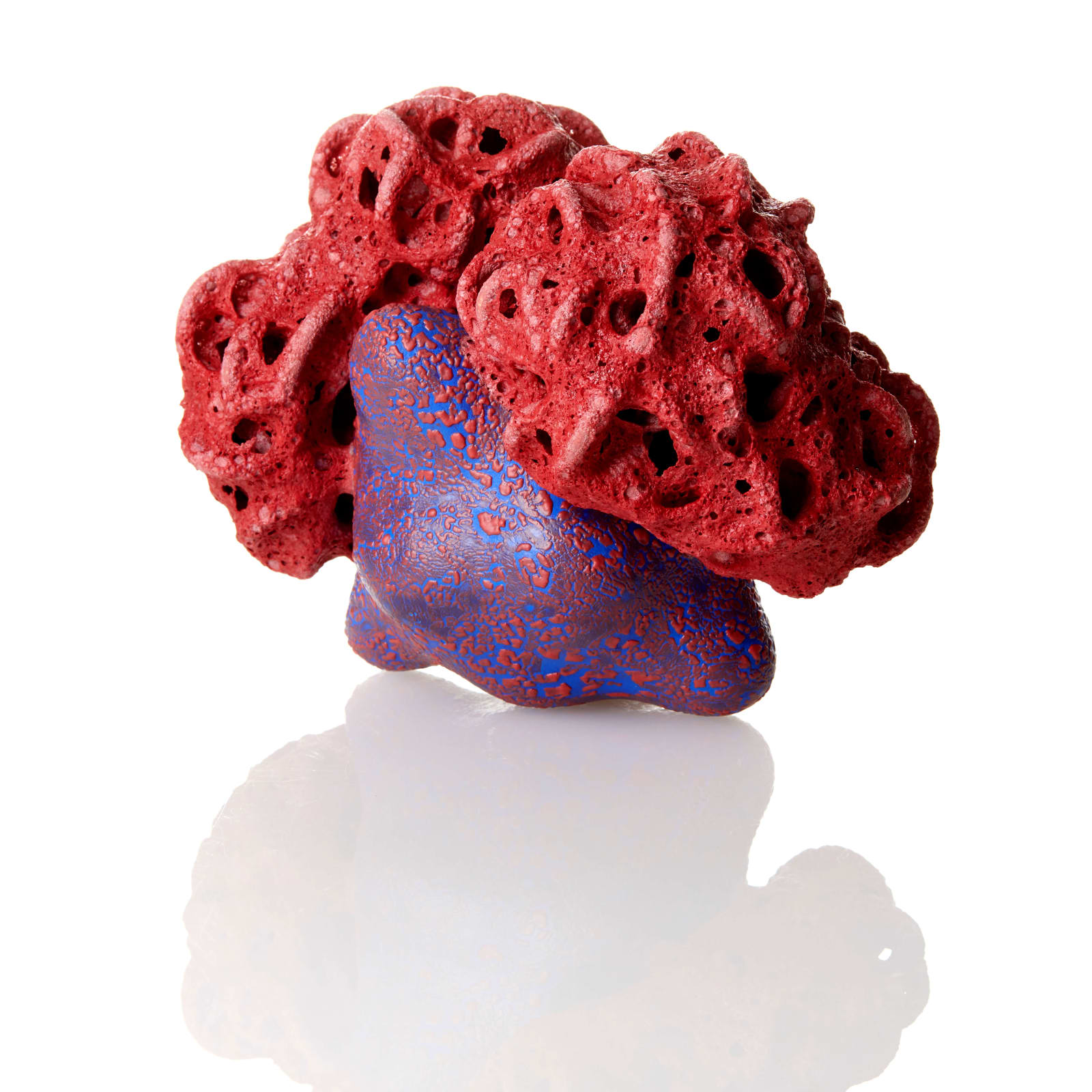 Tessa Eastman, Red Midnight Baby Cloud Bundle, 2021