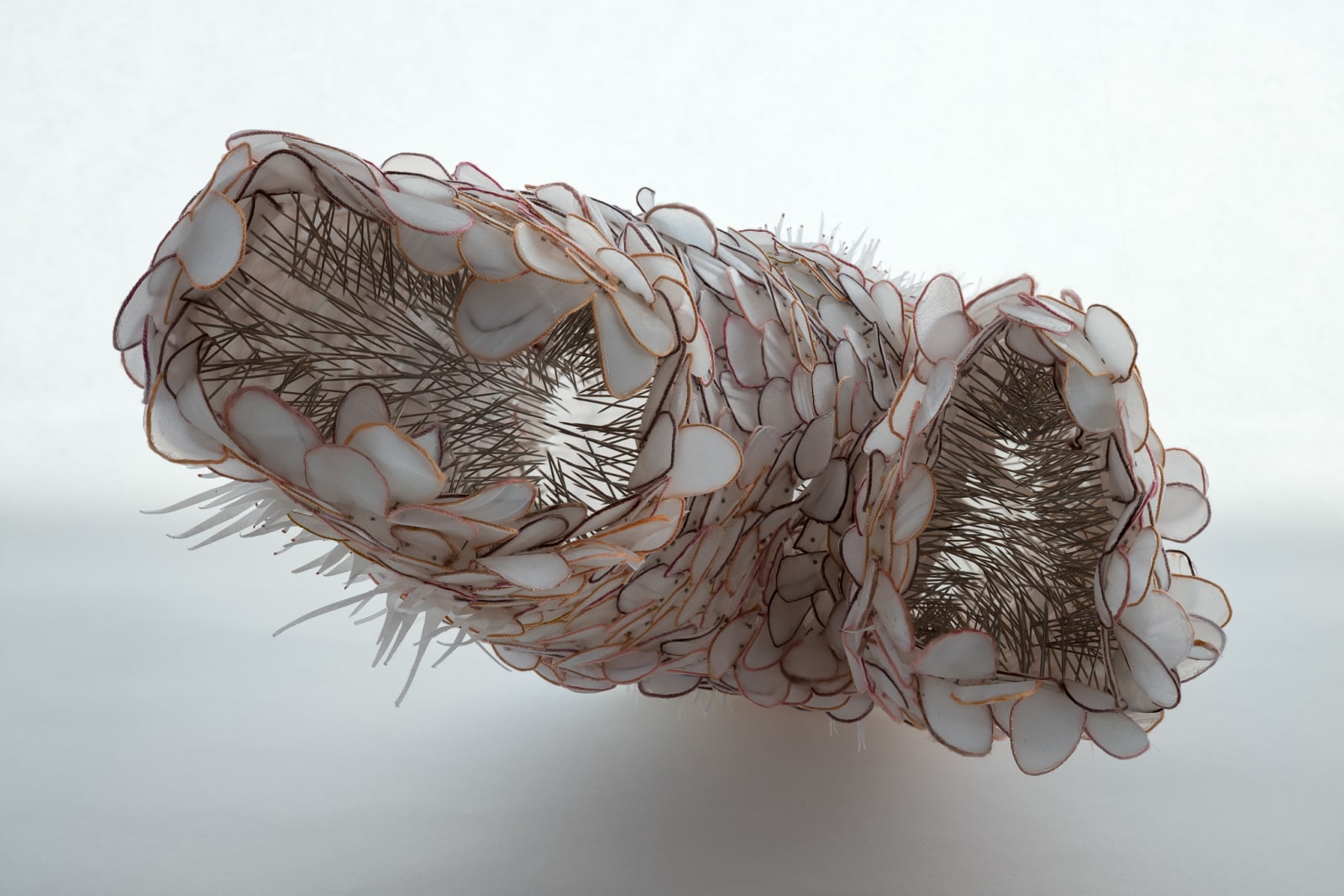 Helen O’Shea, Bi-Valve, 2019