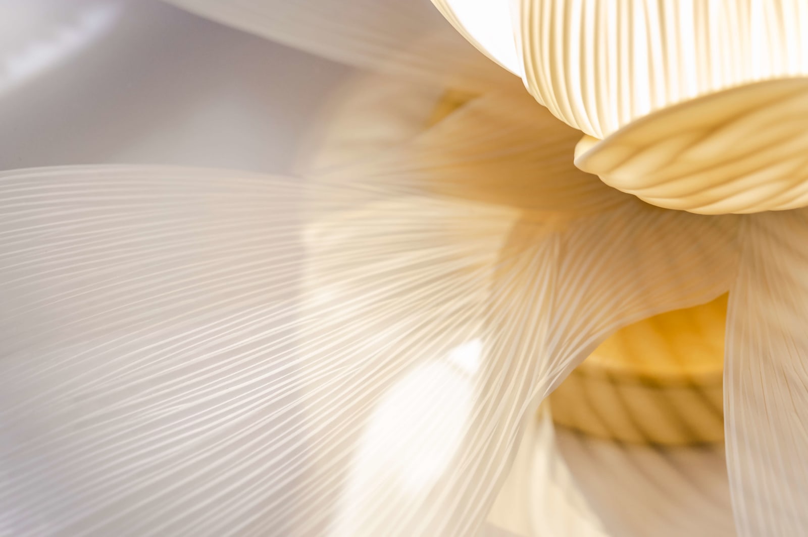 Vezzini & Chen, Lotus Table Light - Med, 2020