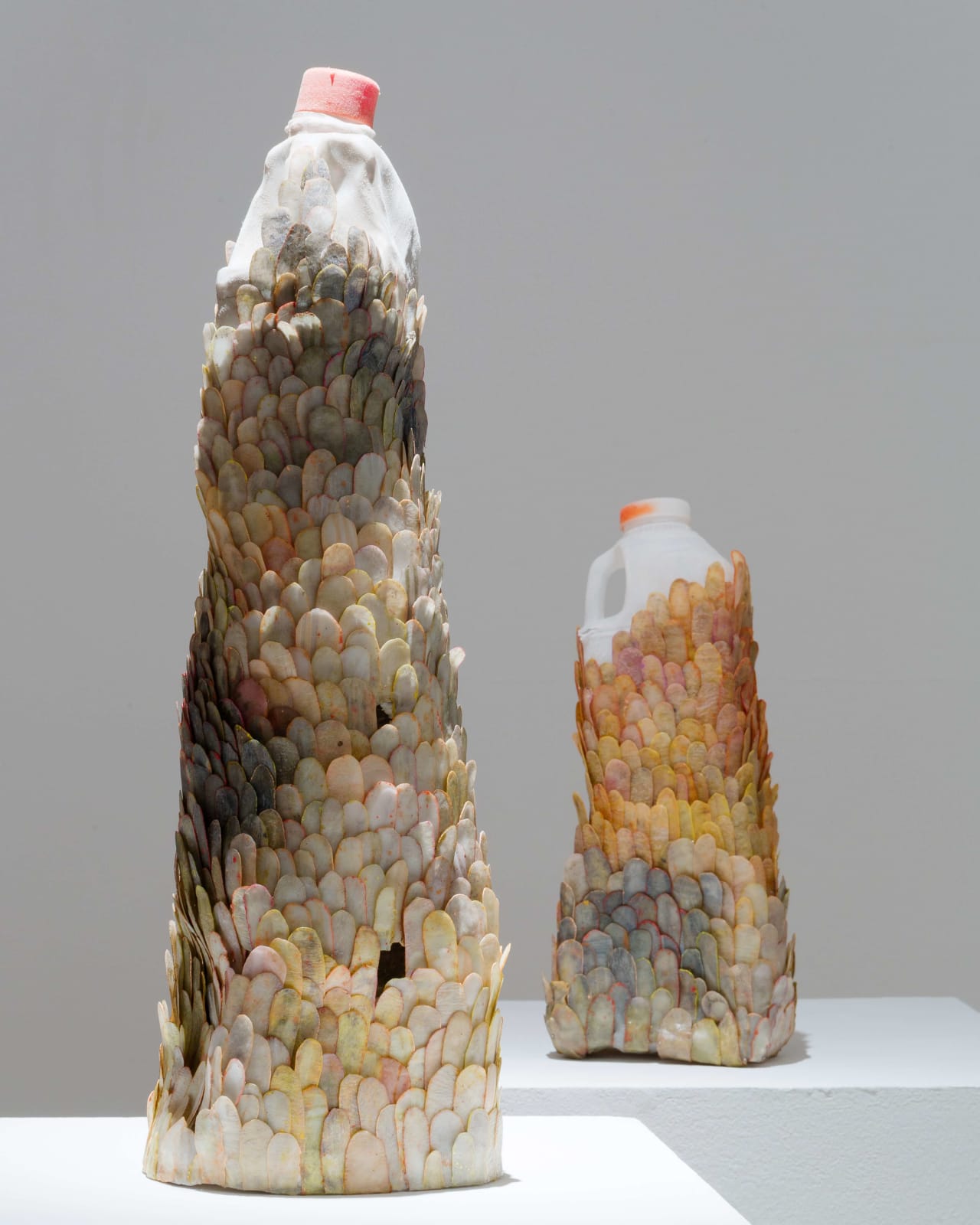 Helen O’Shea, Scaled, 2020
