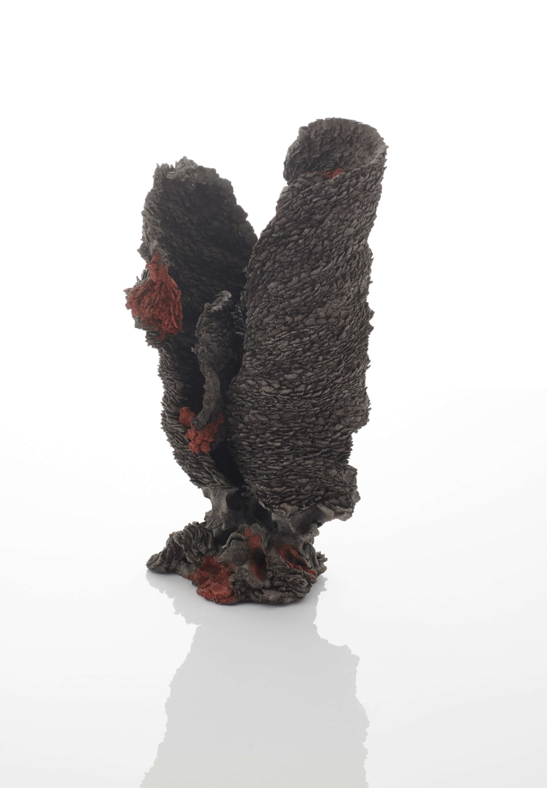 Katalina Caliendo, Fluorescence of Imbricating, 2021