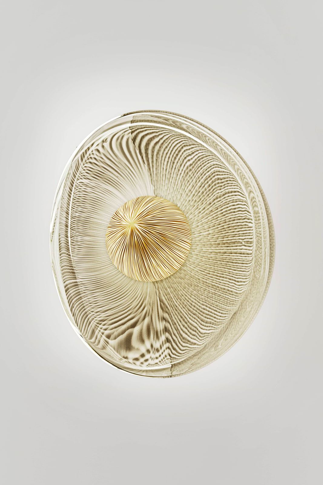 Vezzini & Chen, Seed - Large, 2019