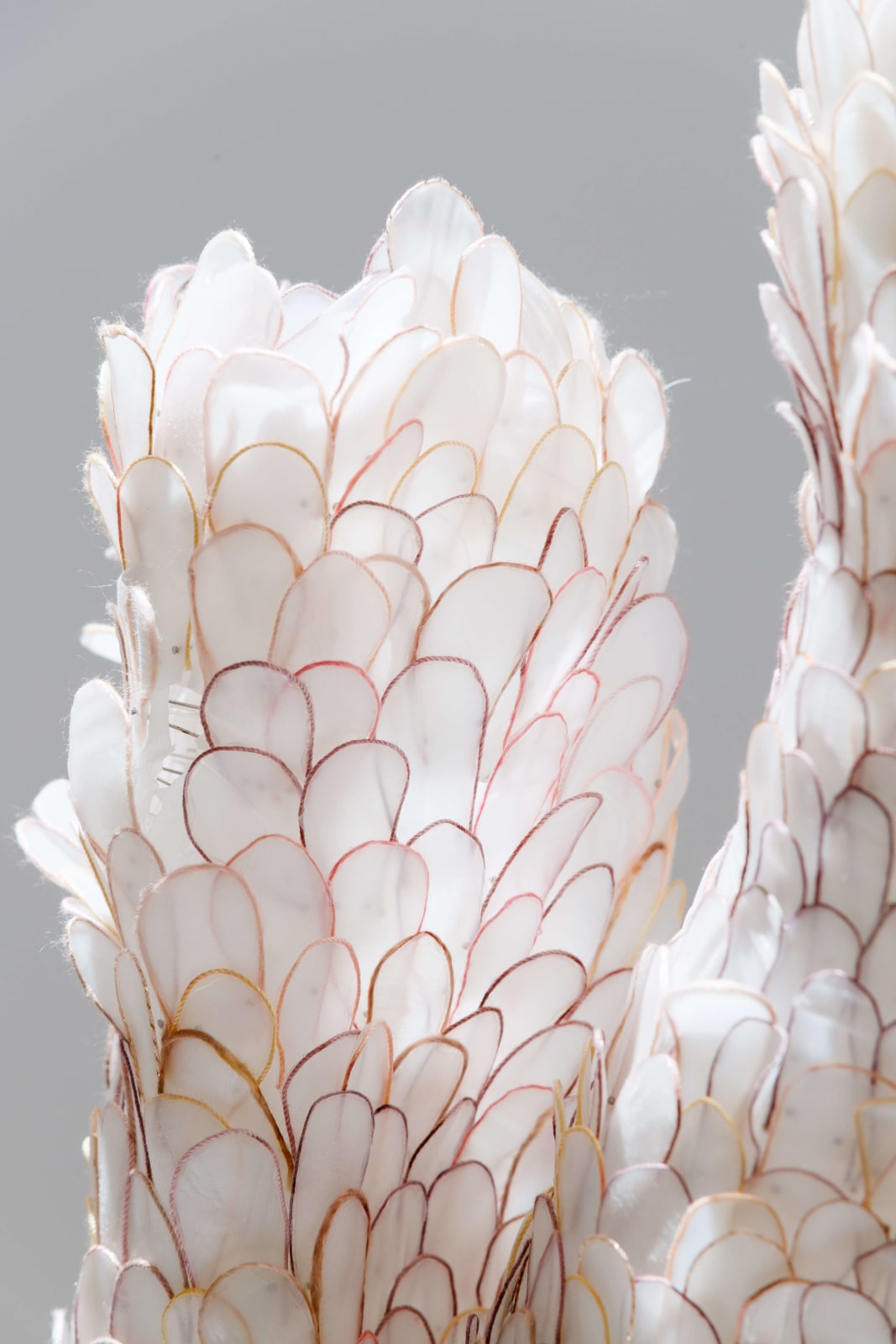 Helen O’Shea, Bi-Valve, 2019