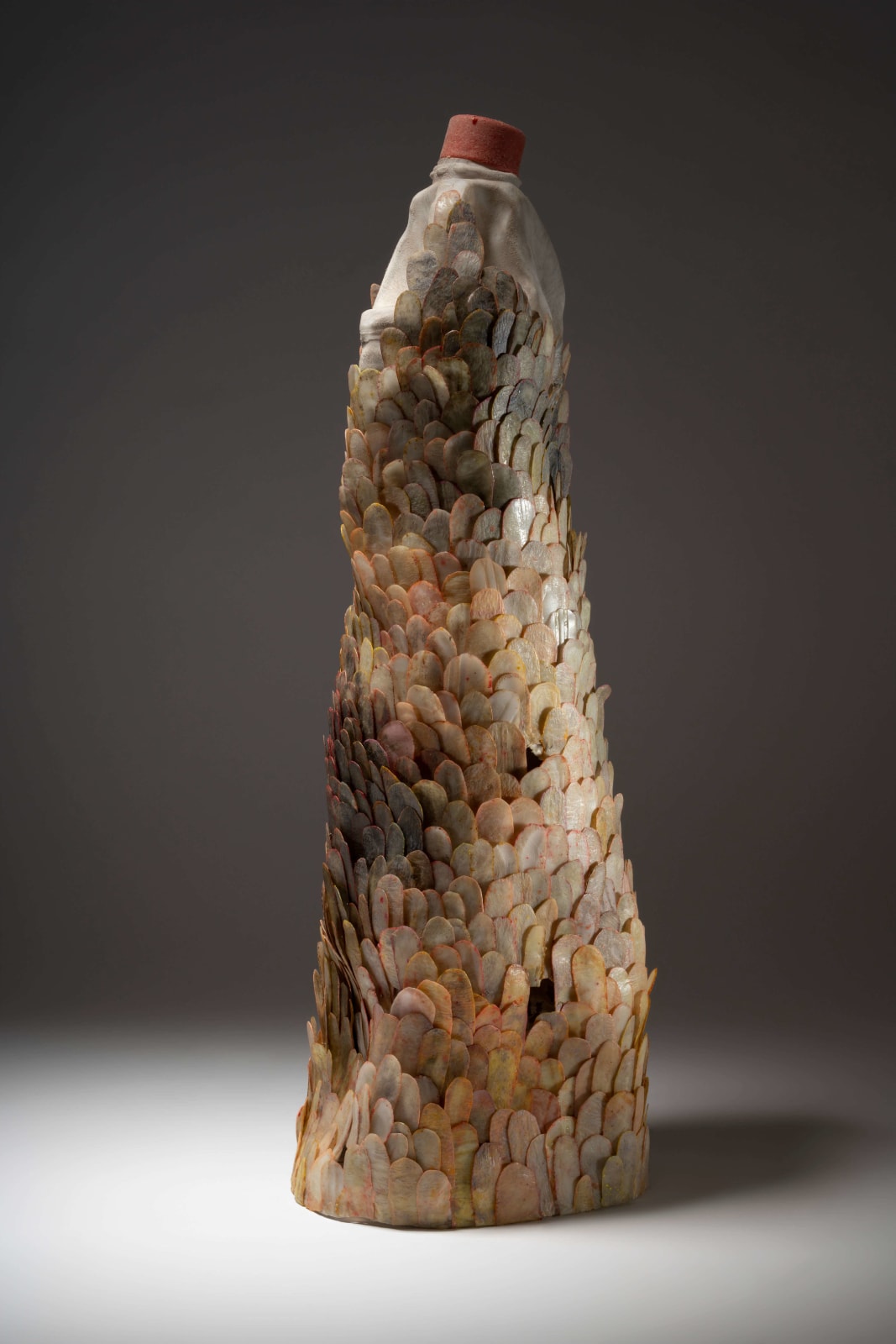 Helen O’Shea, Scaled, 2020