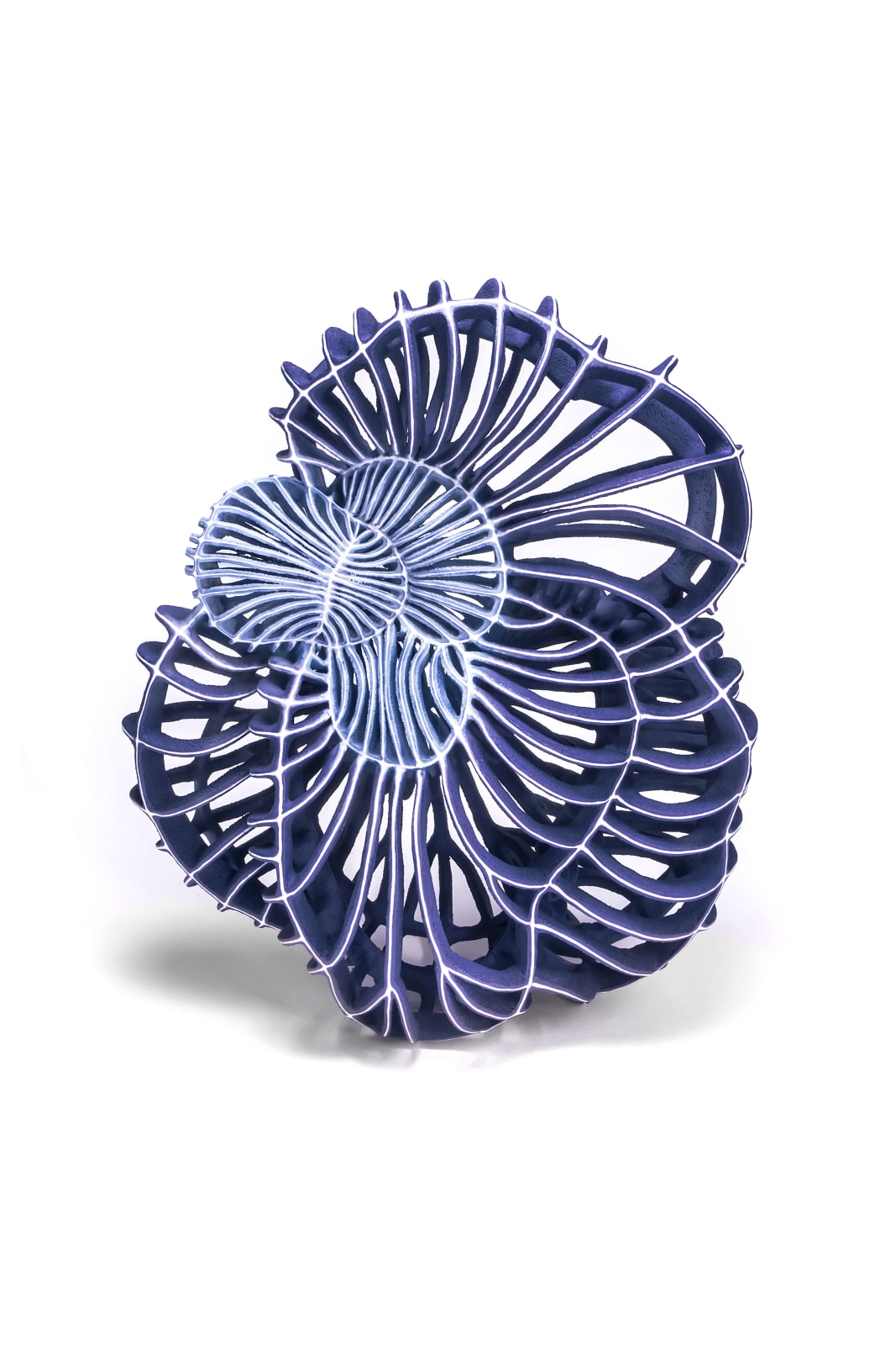 Xu Shiyuan, Vena No.5, 2019