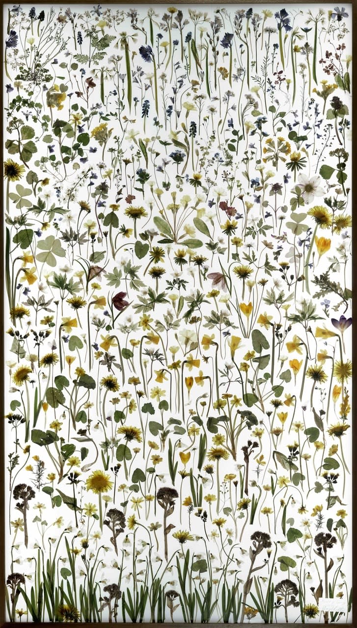 Amy Shelton, The Herald of Spring, 2021