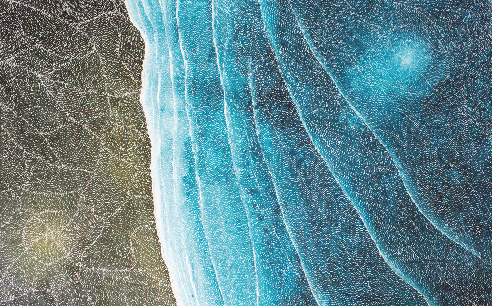 Sarrita King, Earth Elements , 2024