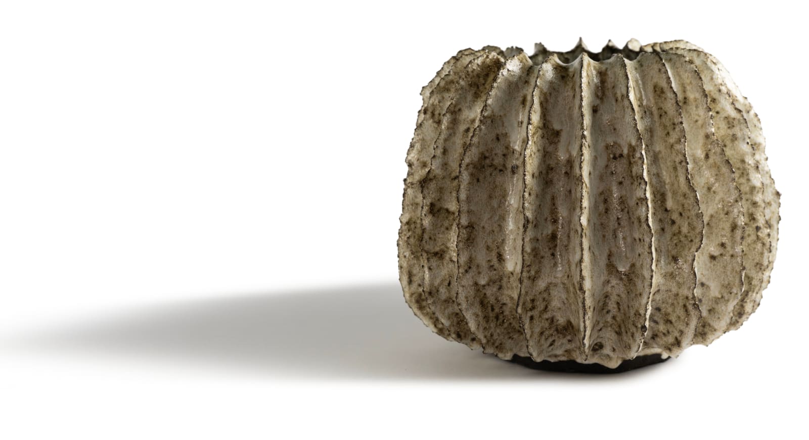 Jojo Corväiá, V-1413 KUWABATA Series, 2025